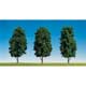 3 Deciduous trees (H0)